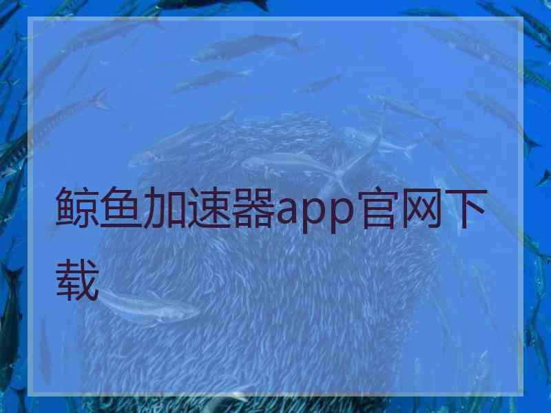 鲸鱼加速器app官网下载