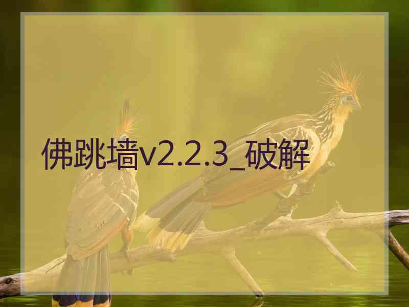 佛跳墙v2.2.3_破解