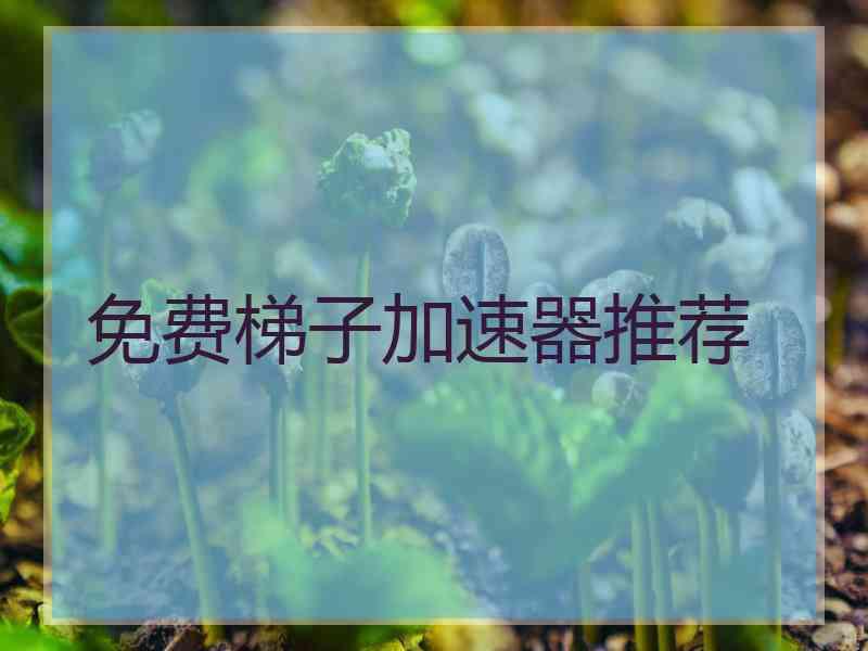 免费梯子加速器推荐