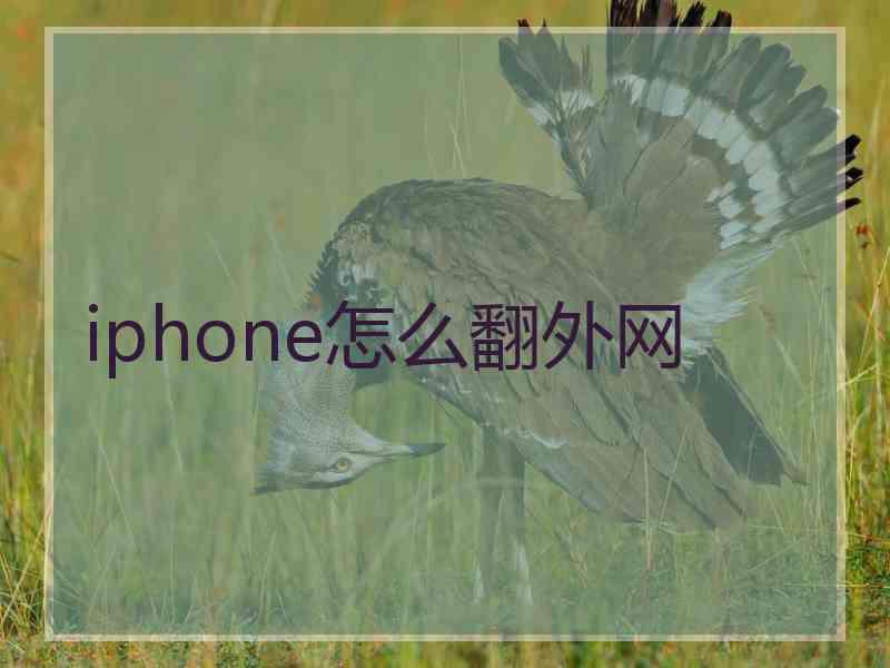 iphone怎么翻外网