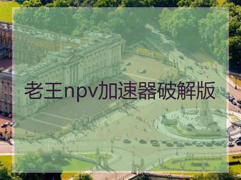 老王npv加速器破解版