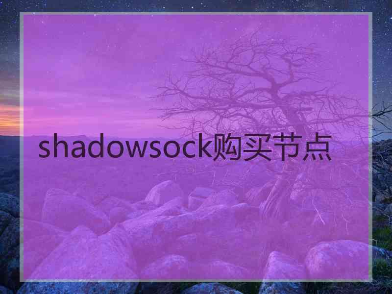 shadowsock购买节点