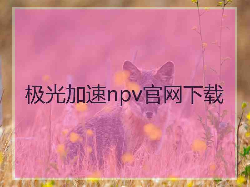 极光加速npv官网下载