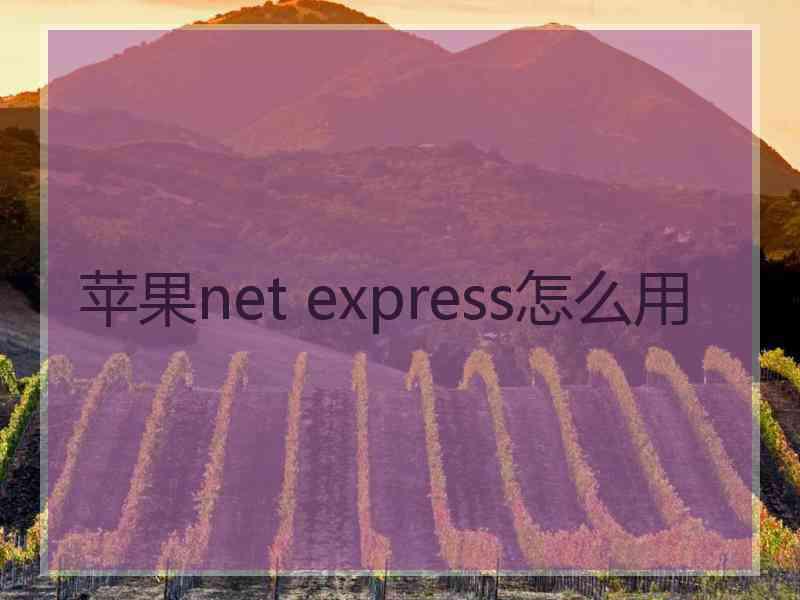 苹果net express怎么用