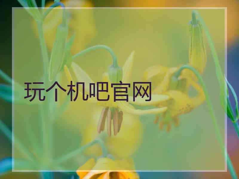 玩个机吧官网