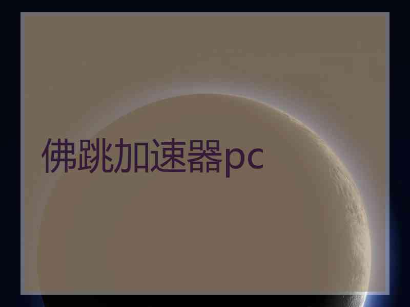 佛跳加速器pc