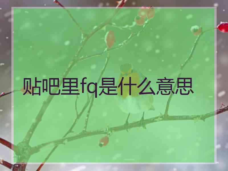 贴吧里fq是什么意思