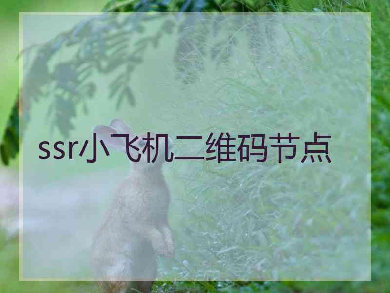 ssr小飞机二维码节点