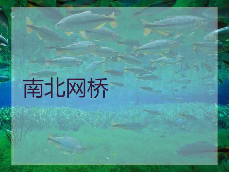 南北网桥