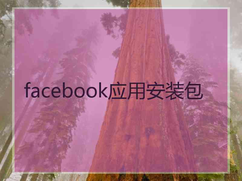 facebook应用安装包