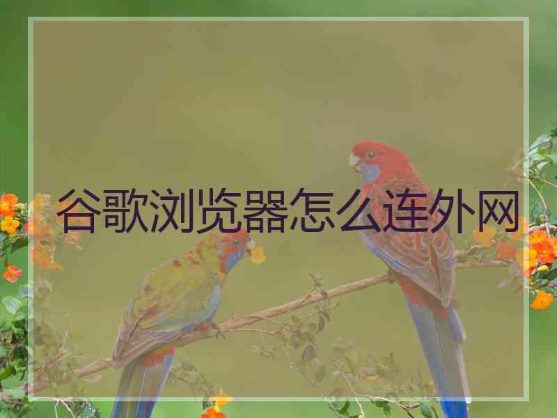 谷歌浏览器怎么连外网