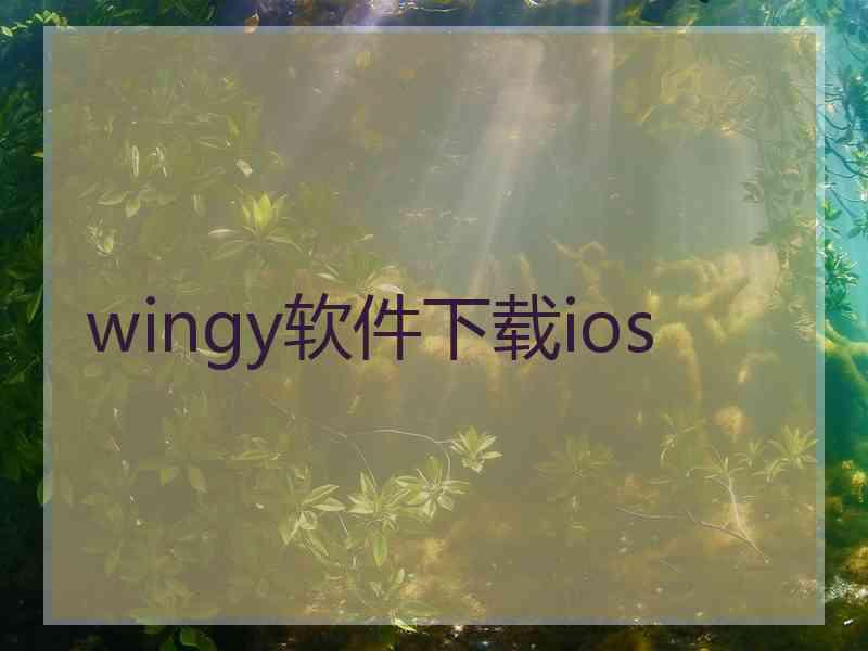 wingy软件下载ios