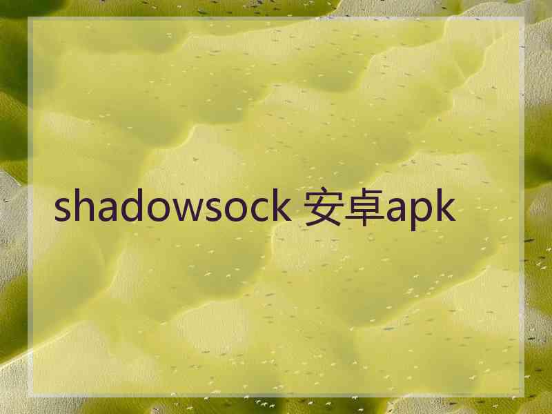 shadowsock 安卓apk