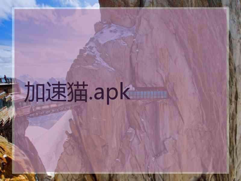 加速猫.apk