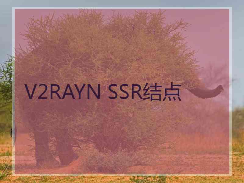 V2RAYN SSR结点