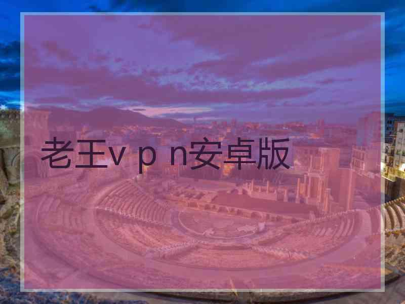 老王v p n安卓版