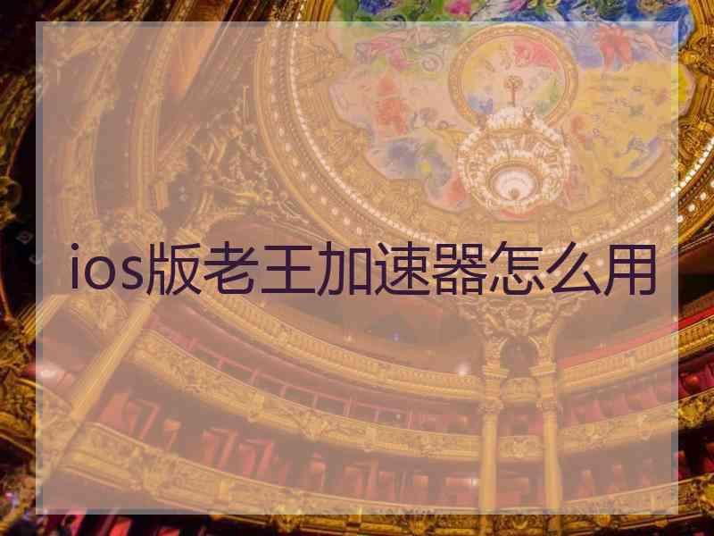 ios版老王加速器怎么用