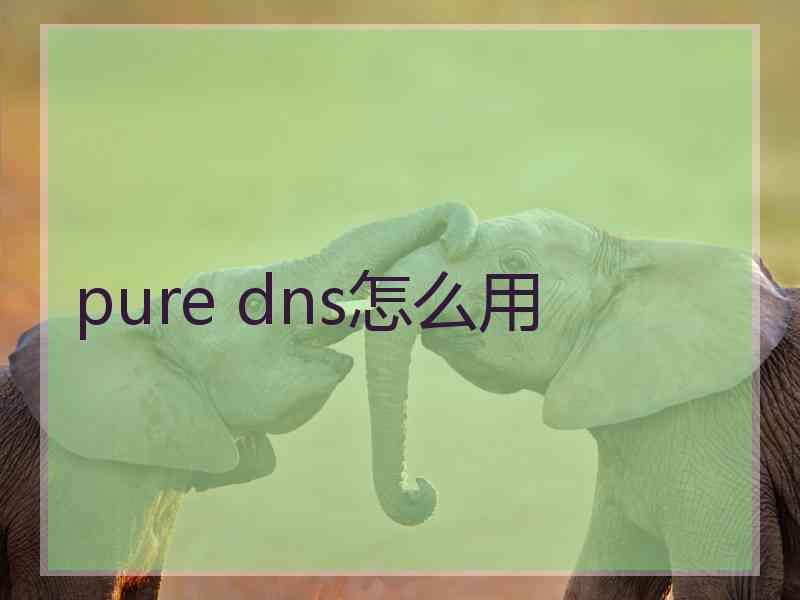 pure dns怎么用