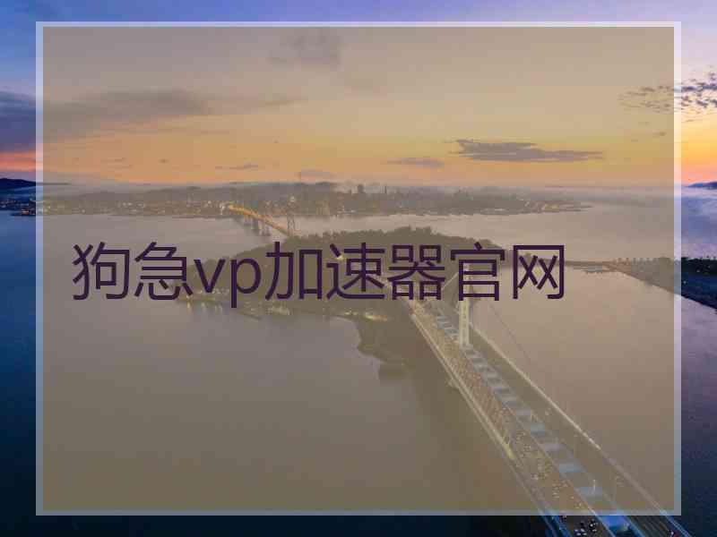 狗急vp加速器官网