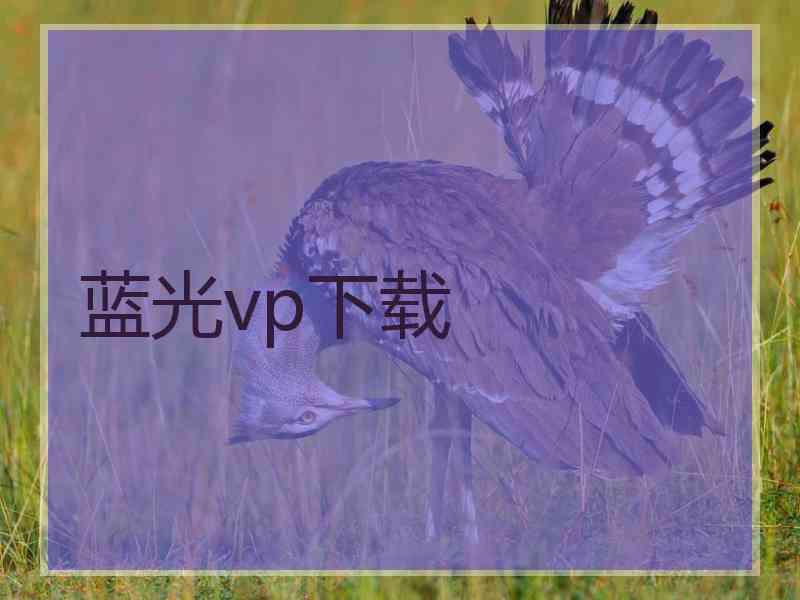 蓝光vp下载