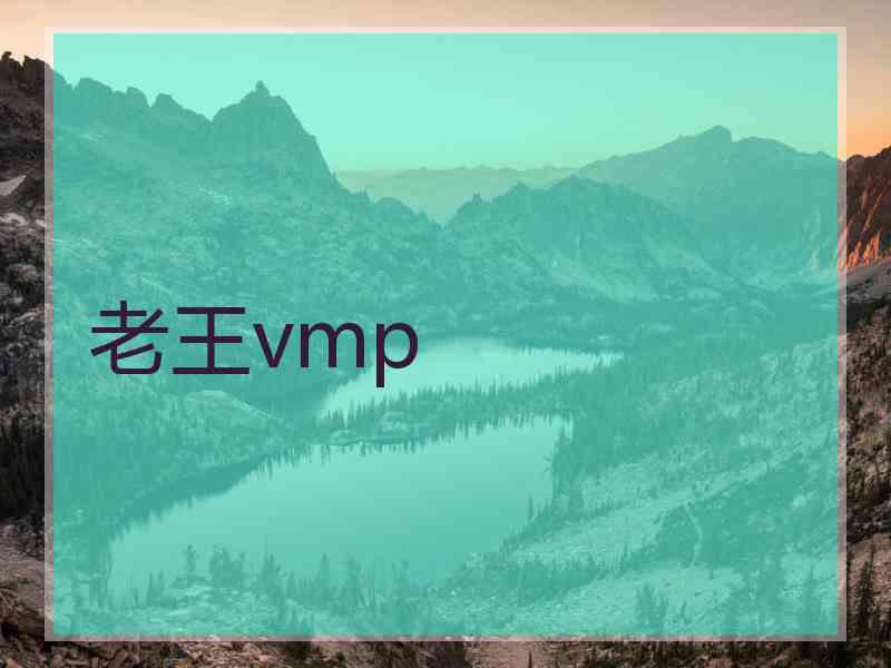 老王vmp