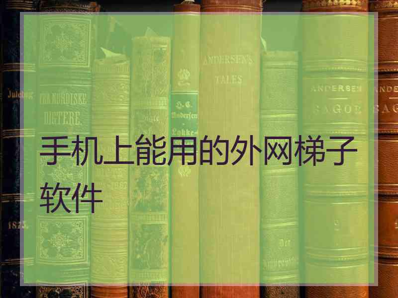 手机上能用的外网梯子软件