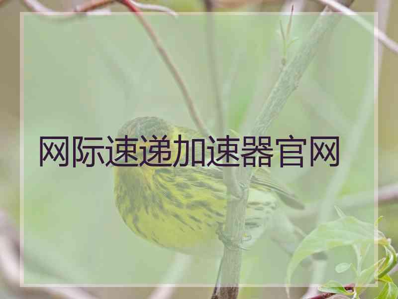 网际速递加速器官网