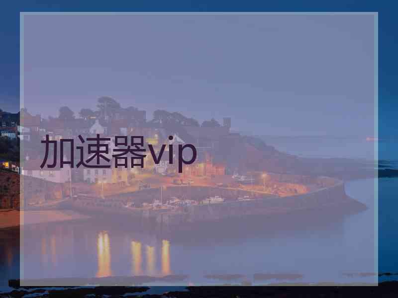 加速器vip