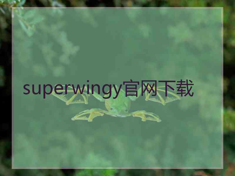 superwingy官网下载