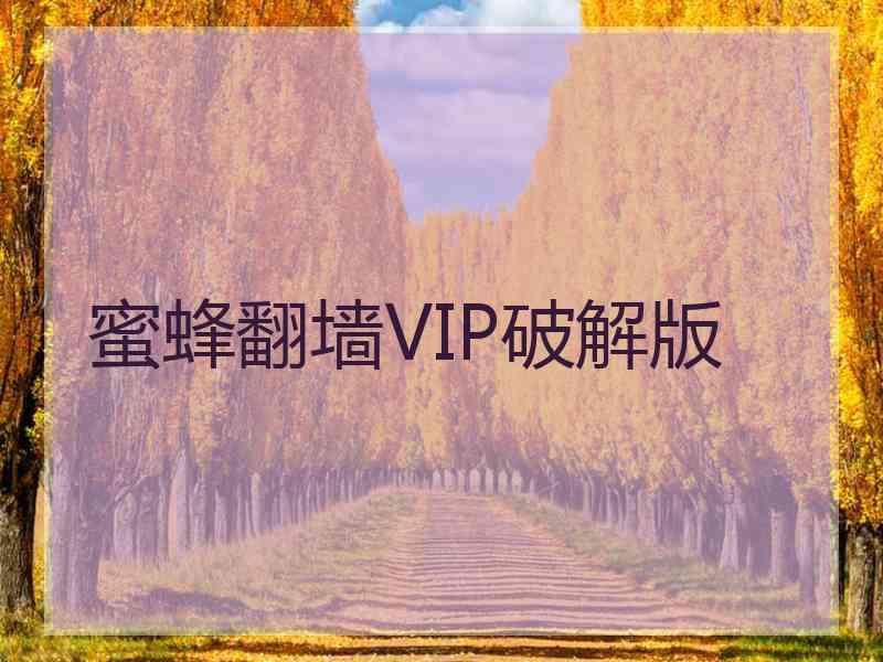 蜜蜂翻墙VIP破解版