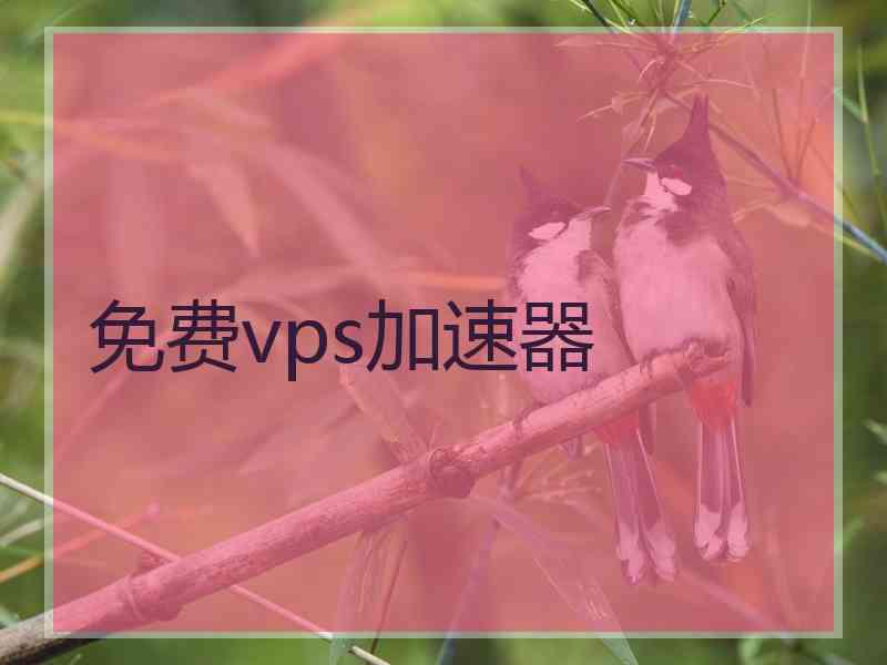 免费vps加速器