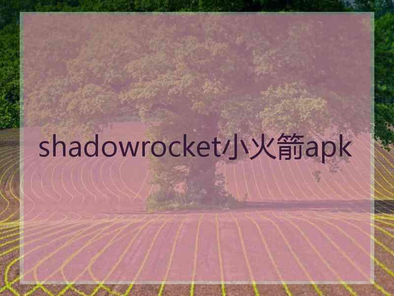 shadowrocket小火箭apk