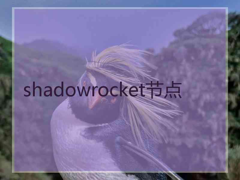 shadowrocket节点