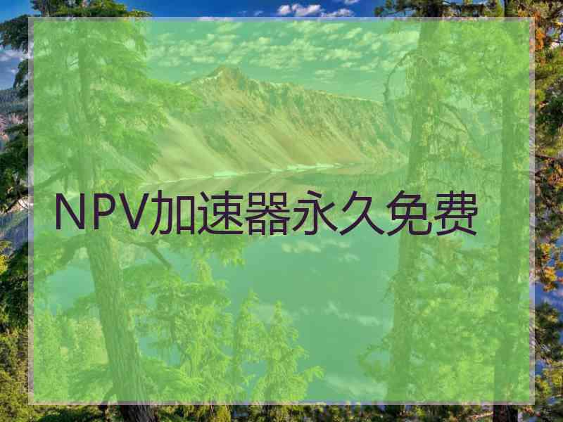 NPV加速器永久免费