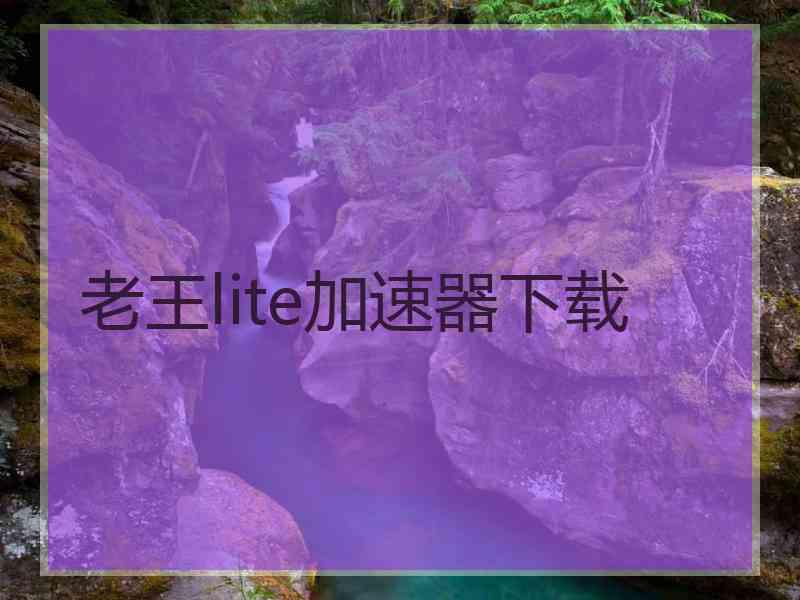 老王lite加速器下载