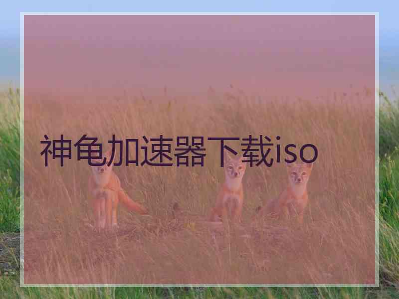 神龟加速器下载iso