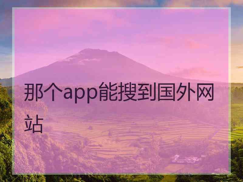 那个app能搜到国外网站