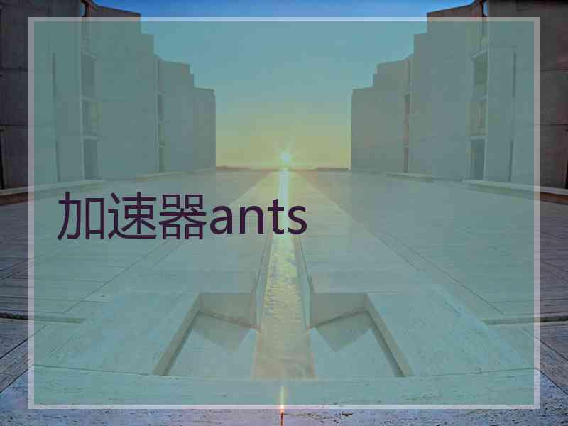 加速器ants