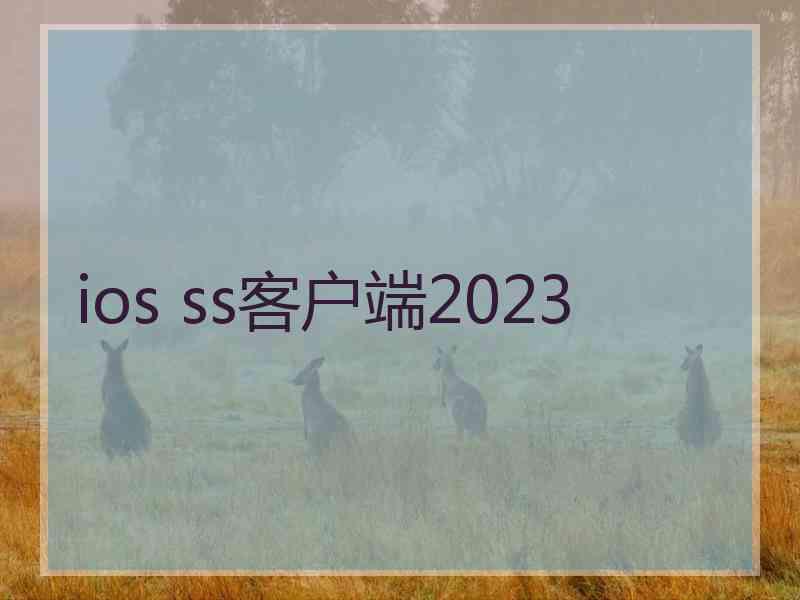 ios ss客户端2023