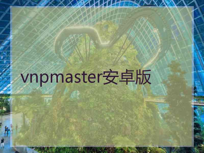 vnpmaster安卓版