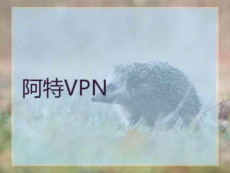 阿特VPN