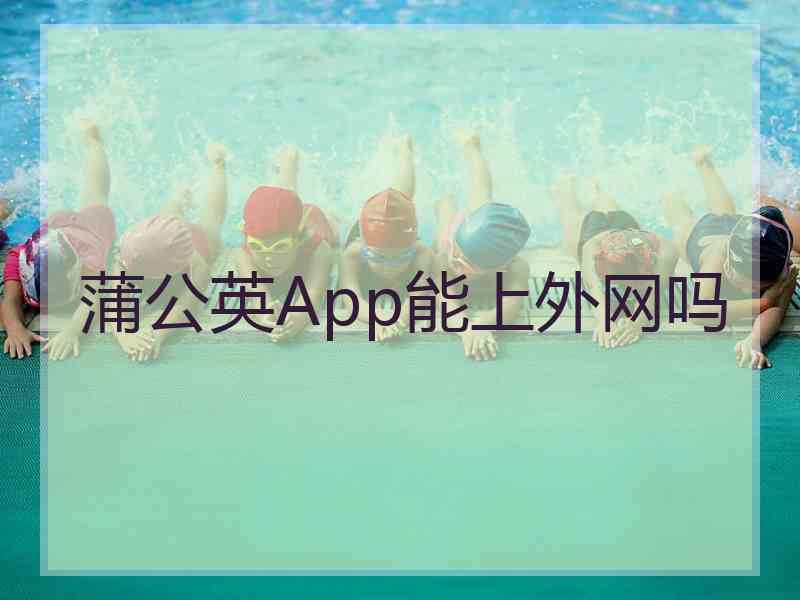 蒲公英App能上外网吗