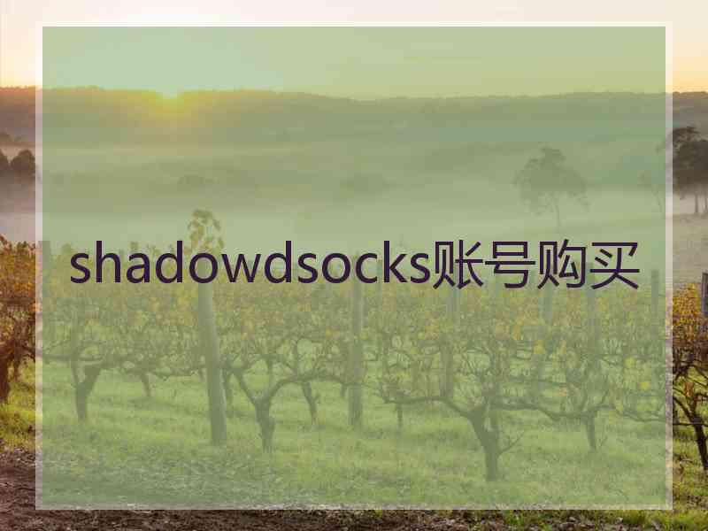 shadowdsocks账号购买