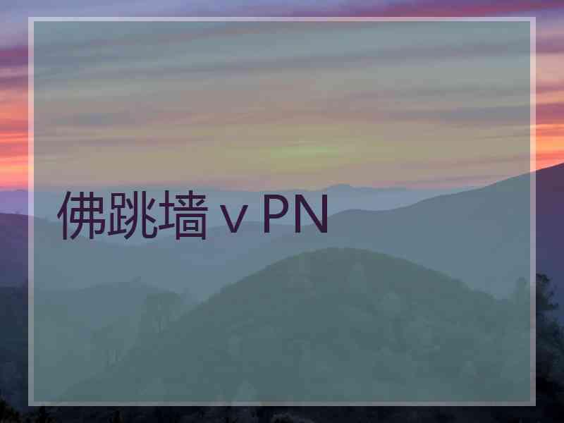 佛跳墙ⅴPN