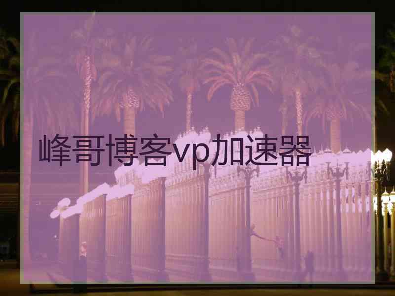 峰哥博客vp加速器