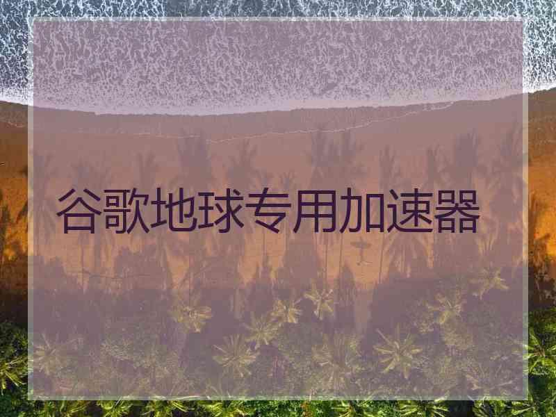 谷歌地球专用加速器