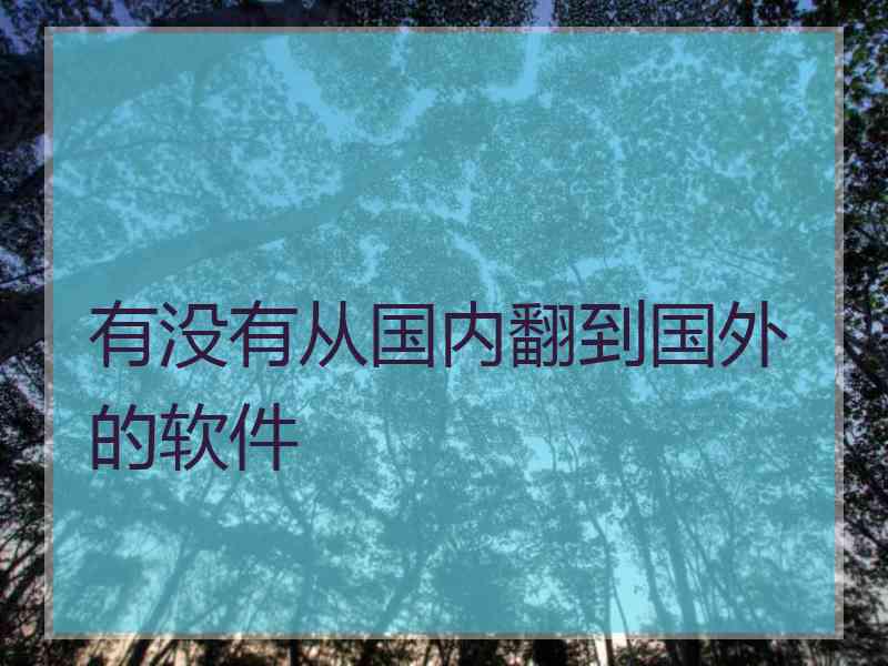 有没有从国内翻到国外的软件