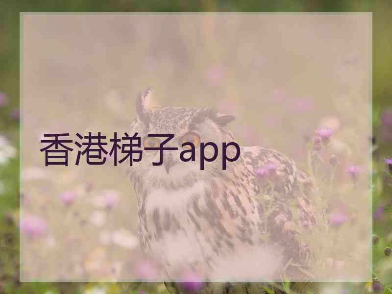 香港梯子app