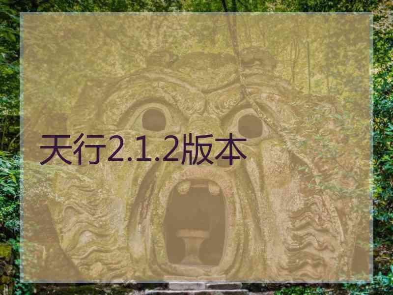 天行2.1.2版本