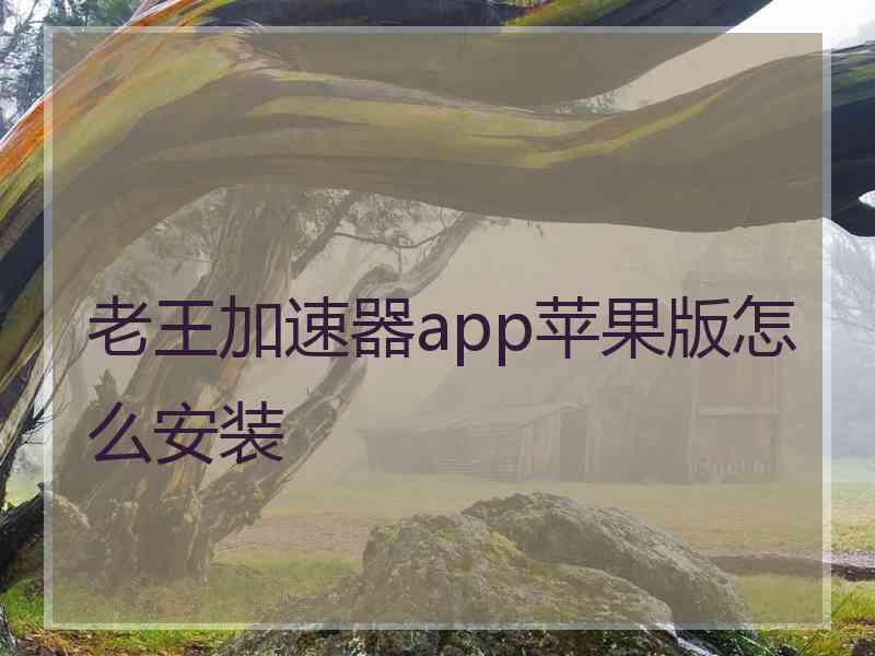 老王加速器app苹果版怎么安装